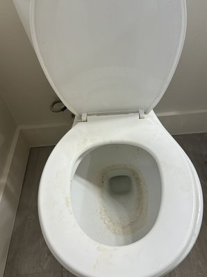 Apartament rental - The toilet will always be one of my focusses. We always give results like these Apartament rental - The toilet will always be one of my focusses. We always give results like these