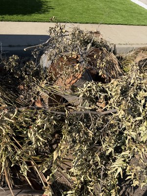Need Yard Clear Out? We Beat it by 15% Guaranteed - We offer same-week service for yard, garage or property clear outs. Either curbside or collect from inside / outside the home. Fully insured, professional and detailed oriented.