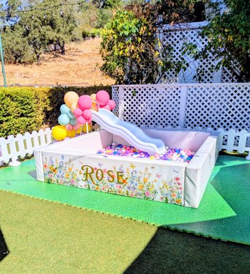 Garden Party for a first birthday - We provided The play area, backdrop decor, full bar with signature, drinks, and table settings for this first birthday