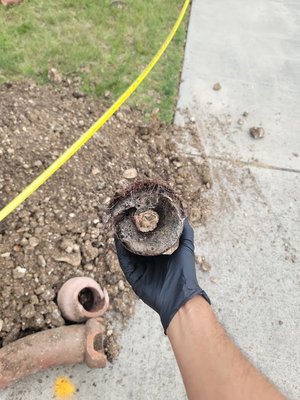 Experiencing slow drains? We can help! - Emergency Plumbing Services Available 7 Days a Week in San Antonio & Surrounding Areas. Call us Today for a Free Quote at 210-514-3476.
If Juan can't fix it, no Juan can! Experiencing slow drains? We can help! - Emergency Plumbing Services Available 7 Days a Week in San Antonio & Surrounding Areas. Call us Today for a Free Quote at 210-514-3476.
If Juan can't fix it, no Juan can!