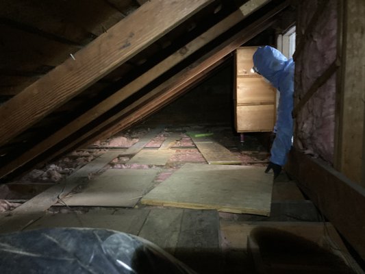 Attic Removal & Insulation Install - The rodent contaminated insulation and debris were removed from an attic. After the clean out, new blown in fiberglass insulation was installed. New unfaced batt fiberglass insulation was installed in the attic's knee walls with twine support. Attic Removal & Insulation Install - The rodent contaminated insulation and debris were removed from an attic. After the clean out, new blown in fiberglass insulation was installed. New unfaced batt fiberglass insulation was installed in the attic's knee walls with twine support.