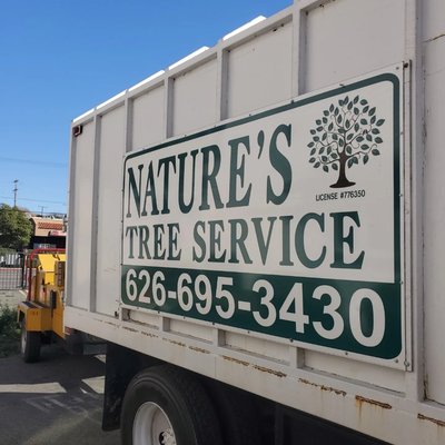 Nature's Tree Service projects - Best tree services and highest quality 👌 Nature's Tree Service projects - Best tree services and highest quality 👌