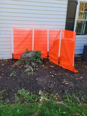 Stump Grinding in Fairfield County CT. - This was a great project in Greenwich. We ground 4 stumps and relocated the debris to a spot on his property.