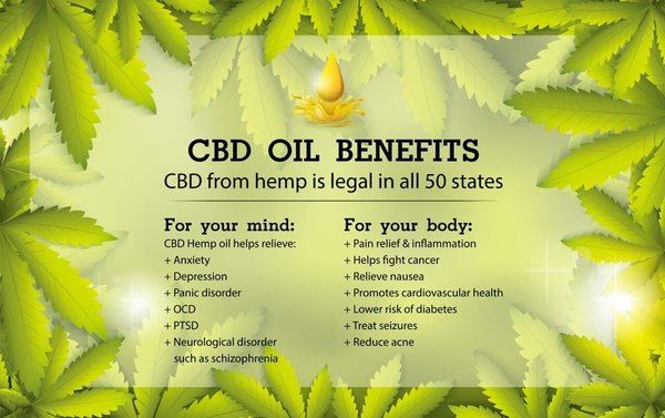 CBD Oil Massage - CBD Massage Benefits
Reducing muscle fatigue and soreness.
Decreases back, shoulder, and neck pain.
Reduces irritation caused by a strain or an injury.
Can help you with the battle with psoriasis, acne, or other skin conditions.
Creates a great sense of calm after the massage.
Massive anti-inflammatory properties. CBD Oil Massage - CBD Massage Benefits
Reducing muscle fatigue and soreness.
Decreases back, shoulder, and neck pain.
Reduces irritation caused by a strain or an injury.
Can help you with the battle with psoriasis, acne, or other skin conditions.
Creates a great sense of calm after the massage.
Massive anti-inflammatory properties.