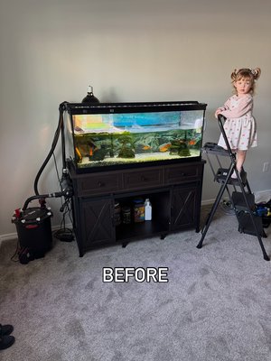 75 gallon African sideneck turtle tank cleaning - We don’t work with turtles often, but this was a fun one! It took us about 3 hours and our customer is so happy! 75 gallon African sideneck turtle tank cleaning - We don’t work with turtles often, but this was a fun one! It took us about 3 hours and our customer is so happy!