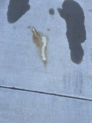 Concrete Rust Removal - This was one of my concrete cleaning customers that has some rust spots we got out for them as this is a different process since pressure washing won’t get this out. Concrete Rust Removal - This was one of my concrete cleaning customers that has some rust spots we got out for them as this is a different process since pressure washing won’t get this out.