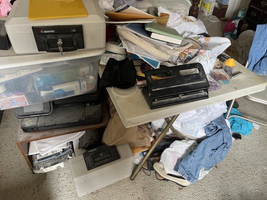 Need Help moving a cluttered Home? - We helped a senior relocate from California to Florida. We helped sort and organize her belongings, packed the items that made sense to move to her new home for space and safety, and conducted an estate sale and clear-out that allowed the house to be ready for sale. The proceeds from the estate sale covered a significant portion of all the project costs. Need Help moving a cluttered Home? - We helped a senior relocate from California to Florida. We helped sort and organize her belongings, packed the items that made sense to move to her new home for space and safety, and conducted an estate sale and clear-out that allowed the house to be ready for sale. The proceeds from the estate sale covered a significant portion of all the project costs.