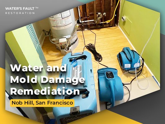 Water and Mold Damage Remediation - Based on the provided assessment report, the client made the decision to proceed with our company’s service for water and mold damage remediation, including demolition and dehumidification of the property.

During the demolition stage, we’ve discovered mold on ceiling and wall structures.
That required us to set up a decontamination chamber, negative air pressure equipment, and install additional covering in the working area.