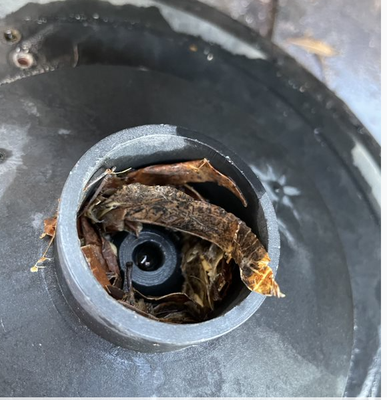 Clogged Impeller - Lots of debris in a swimming pool combined with a missing or just simply a broken pump basket will allow debris to find its way passed areas it shouldn't, like into this clogged impeller.  An impeller is what pulls and pushes water from the swimming pool, so if you are experiencing bad circulation and you have tried everything you can think of in terms of the filter, check this little water mover for any obstructions.