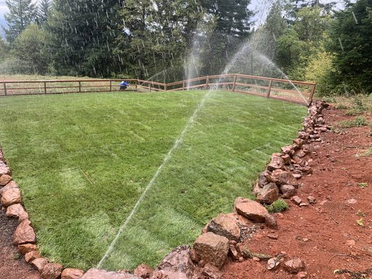 Camas, Wa project - Daniel V. Landscaping recently completed a sod installation project in Camas, WA, transforming an ordinary yard into a lush, green oasis. Our expert team carefully selected and laid premium sod, ensuring a seamless and vibrant lawn. To maintain the health and beauty of the new sod, we also installed a cutting-edge irrigation system, providing consistent hydration and promoting robust growth. This project highlights our commitment to delivering top-quality landscaping services, enhancing both the aesthetics and functionality of outdoor spaces. If you're in Camas, WA, and looking to rejuvenate your yard with professional sod installation, Daniel V. Landscaping is your go-to solution.