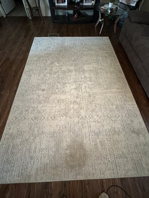 Rug Deep Clean
Weatherford, Tx - This was a client was wanted a Full deep clean of a rug. During this rug clean we had a super cute supervisor! Take a look at the water dump! That’s crazy! Definitely super satisfying to watch the forbidden coffee get dumped!