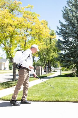 Early Bird Special (half off!) - we are Southern Utah's premier pest control company. Early Bird Special (half off!) - we are Southern Utah's premier pest control company.
