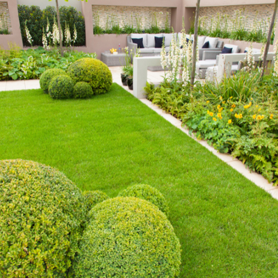 Landscape Design - Professional Landscape Design Services
Serving Renton and Surrounding Areas
Custom Landscape Design
Tailored to Your Vision
Creating a stunning landscape begins with thoughtful design. At Modern Living Landscaping, we take the time to understand your unique needs and preferences, ensuring that your outdoor space reflects your personality and lifestyle. Our custom landscape design services focus on balancing aesthetics with functionality to create a space that you’ll love spending time in.
Our design process starts with a detailed consultation, where we assess your property, discuss your goals, and offer expert recommendations. Whether you’re looking to install a new lawn, create garden beds, or incorporate hardscaping features like patios and walkways, we have the knowledge and experience to design a landscape that meets your needs. Every design is personalized, ensuring that your outdoor space is as unique as you are.
Incorporating Nature and Structure for Optimal Results
A well-executed landscape design blends natural elements with structural features to create a cohesive and inviting outdoor space. Our team at Modern Living Landscaping specializes in landscape architecture, which involves designing and integrating features such as retaining walls, garden paths, patios, and outdoor living areas. These features not only enhance the beauty of your yard but also improve its functionality.
For example, incorporating a stone walkway can lead guests through your garden, while a retaining wall can add dimension and prevent soil erosion. We focus on ensuring that each design element serves a purpose while contributing to the overall aesthetics of your yard. Our goal is to create a harmonious balance between nature and structure, resulting in a landscape that feels both inviting and practical.
Sustainable and Eco-Friendly Landscaping Solutions
Reducing Environmental Impact with Smart Design Choices
At Modern Living Landscaping, we prioritize sustainability in every landscape design. Our team is committed to incorporating eco-friendly landscaping solutions that reduce environmental impact and promote long-term sustainability. This can include the use of native plants, drought-resistant landscaping, and water-efficient irrigation systems.
Native plants are an excellent choice for sustainable landscaping, as they are adapted to the local climate and require less water and maintenance than non-native species. We also offer xeriscaping, which involves designing landscapes that require minimal water usage—a perfect option for eco-conscious homeowners. Additionally, our smart irrigation systems ensure that your plants receive the right amount of water without waste.
By choosing sustainable landscaping practices, you can reduce water consumption, minimize the use of harmful chemicals, and create a landscape that supports local wildlife. Our team will work with you to design an eco-friendly landscape that enhances the beauty of your yard while being environmentally responsible. Landscape Design - Professional Landscape Design Services
Serving Renton and Surrounding Areas
Custom Landscape Design
Tailored to Your Vision
Creating a stunning landscape begins with thoughtful design. At Modern Living Landscaping, we take the time to understand your unique needs and preferences, ensuring that your outdoor space reflects your personality and lifestyle. Our custom landscape design services focus on balancing aesthetics with functionality to create a space that you’ll love spending time in.
Our design process starts with a detailed consultation, where we assess your property, discuss your goals, and offer expert recommendations. Whether you’re looking to install a new lawn, create garden beds, or incorporate hardscaping features like patios and walkways, we have the knowledge and experience to design a landscape that meets your needs. Every design is personalized, ensuring that your outdoor space is as unique as you are.
Incorporating Nature and Structure for Optimal Results
A well-executed landscape design blends natural elements with structural features to create a cohesive and inviting outdoor space. Our team at Modern Living Landscaping specializes in landscape architecture, which involves designing and integrating features such as retaining walls, garden paths, patios, and outdoor living areas. These features not only enhance the beauty of your yard but also improve its functionality.
For example, incorporating a stone walkway can lead guests through your garden, while a retaining wall can add dimension and prevent soil erosion. We focus on ensuring that each design element serves a purpose while contributing to the overall aesthetics of your yard. Our goal is to create a harmonious balance between nature and structure, resulting in a landscape that feels both inviting and practical.
Sustainable and Eco-Friendly Landscaping Solutions
Reducing Environmental Impact with Smart Design Choices
At Modern Living Landscaping, we prioritize sustainability in every landscape design. Our team is committed to incorporating eco-friendly landscaping solutions that reduce environmental impact and promote long-term sustainability. This can include the use of native plants, drought-resistant landscaping, and water-efficient irrigation systems.
Native plants are an excellent choice for sustainable landscaping, as they are adapted to the local climate and require less water and maintenance than non-native species. We also offer xeriscaping, which involves designing landscapes that require minimal water usage—a perfect option for eco-conscious homeowners. Additionally, our smart irrigation systems ensure that your plants receive the right amount of water without waste.
By choosing sustainable landscaping practices, you can reduce water consumption, minimize the use of harmful chemicals, and create a landscape that supports local wildlife. Our team will work with you to design an eco-friendly landscape that enhances the beauty of your yard while being environmentally responsible.
