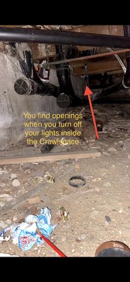 Rodent clean up and control - Rodent control and clean up. Rodent clean up and control - Rodent control and clean up.