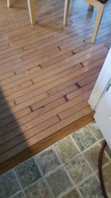 Water Damage - Water damage can be from a storm or a busted pipe.