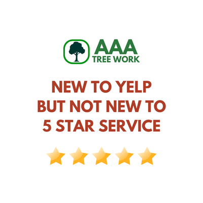 Reviews - New to Yelp, but not new to 5 Star Service Reviews - New to Yelp, but not new to 5 Star Service