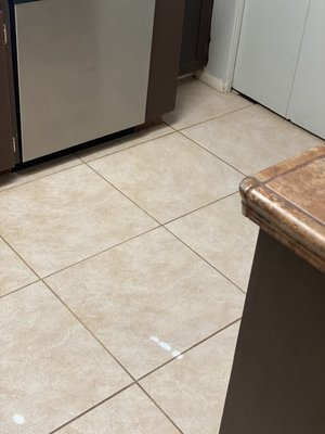 Floor Cleaning & Bio Hazard Clean Up - For this job we decontaminated a floor, and then steam cleaned it. Floor Cleaning & Bio Hazard Clean Up - For this job we decontaminated a floor, and then steam cleaned it.