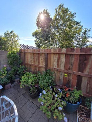 Nail Up Fences in Vacaville - A fence isn’t only for improving the curb appeal of your home. Read on to learn some benefits of getting a new privacy fence.ValueInstalling a new fence can improve the total value of your property. So, if you’re considering selling your home, a simple home improvement project like a new fence could be a smart investment. In some cases, installing a fence could even help you save on taxes. Click here to learn more.Reduce NoiseWant to have a relaxing time in your yard? Consider getting a fence to help drown out to sounds of the neighborhood. It also works both ways and dampens any noise coming from your yard as well.Great for Children and PetsA fence around your yard can create a safe, secluded place for your children and pets to play in. Of course, you’ll want to make sure the fence you choose is child and pet-friendly. That means avoiding metal fences, or fences with large gaps between pickets. To read more about picking the right fence for your family, click here.Safety and SecurityA fence can help deter trespassers and keep prying eyes away from your home. Fences can also help keep stray animals off of your property. By having a boundary around your property, you can enjoy your yard in peace.Visual AppealThere are a lot of different styles and materials you can use for a fence. You’re sure to find a style that fits your home perfectly.