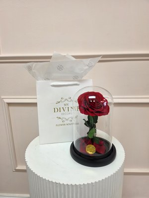 Rosas Preservadas y Rosas Eternas: Cúpulas de Cristal y Cajas de Lujo con Entrega en Miami y Doral - Un regalo que no se marchita. En nuestro tienda de Doral creamos rosas preservadas a mano: rosas
naturales que pasan por un proceso de preservación que les permite conservar su belleza por años, sin
agua y sin cuidados complicados.
En este portafolio mostramos trabajos recientes: rosas eternas en cúpula de cristal, cajas de rosas
preservadas en forma de corazón, cajas acrÃlicas de lujo y diseños personalizados en colores que no
encontrarás en flores frescas, como azul royal, lavanda y dorado. Cada pieza se arma al momento del
pedido, nunca de inventario.
Nuestras clientas nos buscan para aniversarios de boda, San ValentÃn, DÃa de las Madres, quinceañeras y regalos de empresa. Muchas nos cuentan que la rosa sigue intacta en su mesa de noche después de un año, y esa es exactamente la idea: un detalle de lujo que acompaña todos los dÃas, no solo una semana. Cómo cuidarlas: mantenlas lejos del sol directo y la humedad, no les pongas agua, y sacude el polvo con suavidad. Con eso, duran entre uno y tres años o más. Hacemos entrega el mismo dÃa en Doral, Miami, Brickell, Coral Gables y alrededores, y enviamos a todo Estados Unidos. Si buscas un color o mensaje especial, escrÃbenos por la página web y lo diseñamos contigo. Rosas Preservadas y Rosas Eternas: Cúpulas de Cristal y Cajas de Lujo con Entrega en Miami y Doral - Un regalo que no se marchita. En nuestro tienda de Doral creamos rosas preservadas a mano: rosas
naturales que pasan por un proceso de preservación que les permite conservar su belleza por años, sin
agua y sin cuidados complicados.
En este portafolio mostramos trabajos recientes: rosas eternas en cúpula de cristal, cajas de rosas
preservadas en forma de corazón, cajas acrÃlicas de lujo y diseños personalizados en colores que no
encontrarás en flores frescas, como azul royal, lavanda y dorado. Cada pieza se arma al momento del
pedido, nunca de inventario.
Nuestras clientas nos buscan para aniversarios de boda, San ValentÃn, DÃa de las Madres, quinceañeras y regalos de empresa. Muchas nos cuentan que la rosa sigue intacta en su mesa de noche después de un año, y esa es exactamente la idea: un detalle de lujo que acompaña todos los dÃas, no solo una semana. Cómo cuidarlas: mantenlas lejos del sol directo y la humedad, no les pongas agua, y sacude el polvo con suavidad. Con eso, duran entre uno y tres años o más. Hacemos entrega el mismo dÃa en Doral, Miami, Brickell, Coral Gables y alrededores, y enviamos a todo Estados Unidos. Si buscas un color o mensaje especial, escrÃbenos por la página web y lo diseñamos contigo.