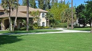 Residential Lawn Care - Any size yard and as many times as needed a month Residential Lawn Care - Any size yard and as many times as needed a month