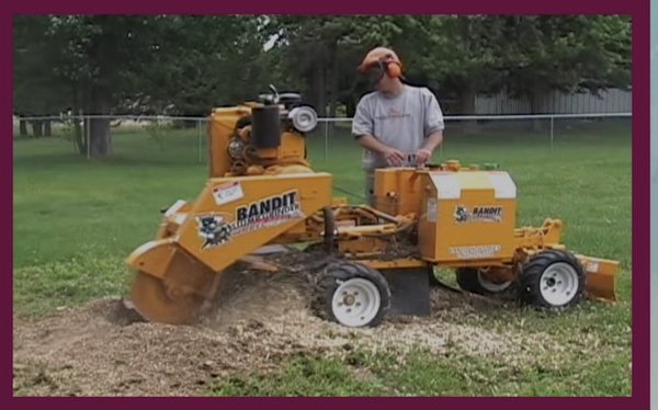 Natures Vista Tree Service & Landscaping LLC - Natures Vista Serving ALL of VIRGINIA