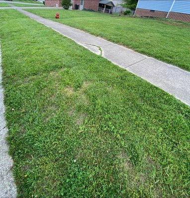 Maylee’s Lawn Care - Weekly or by weekly Lawn Care Maylee’s Lawn Care - Weekly or by weekly Lawn Care