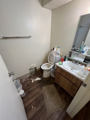 Restroom Restoration - Had a client reach out looking for help to restore his restroom that had been infested with cockroaches client had excessive amount of Acute Boric Acid thrown around both of the restrooms, toilet appeared dirty, with visible stains, watermarks, and discoloration on the bowl's surface. Specks of grime and mineral deposits. In need of cleaning and disinfection, floor covered in a layer of dust and grime, with scattered crumbs and dirt particles. Stains and smudges can be seen in various areas, giving it an overall unclean appearance. CleanSpace Pros put its touch of Elevating cleanliness, delivered amazing results. Restroom Restoration - Had a client reach out looking for help to restore his restroom that had been infested with cockroaches client had excessive amount of Acute Boric Acid thrown around both of the restrooms, toilet appeared dirty, with visible stains, watermarks, and discoloration on the bowl's surface. Specks of grime and mineral deposits. In need of cleaning and disinfection, floor covered in a layer of dust and grime, with scattered crumbs and dirt particles. Stains and smudges can be seen in various areas, giving it an overall unclean appearance. CleanSpace Pros put its touch of Elevating cleanliness, delivered amazing results.