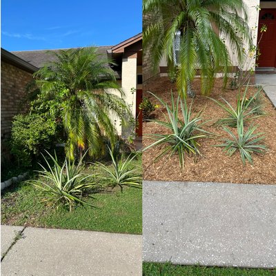 Before and Afters - These are some of my Before and After pictures Before and Afters - These are some of my Before and After pictures