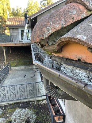 Gutter cleaning - Cleaned the gutters of 5 buildings for a winery.
Please visit our website to check out all our services
or to request a quote.
www.nwpremierservices.com Gutter cleaning - Cleaned the gutters of 5 buildings for a winery.
Please visit our website to check out all our services
or to request a quote.
www.nwpremierservices.com