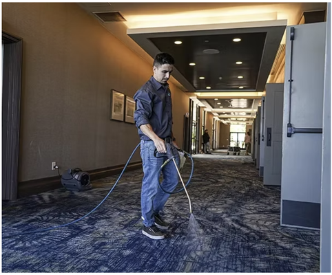 Carpet Cleaning - If you're looking for someone to clean your floors, Pacific Pro is a professional company that focuses on cleaning and always delivers the best results, giving you a shining, spotless space! Carpet Cleaning - If you're looking for someone to clean your floors, Pacific Pro is a professional company that focuses on cleaning and always delivers the best results, giving you a shining, spotless space!