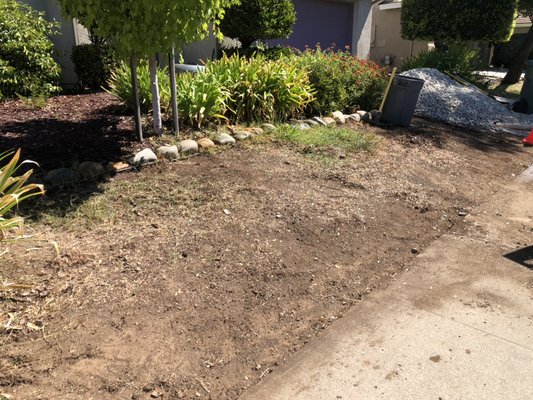 Rock install Gold River. Rock is called salt and pepper and is unwashed. - Client requested a rock install. The ground was cleared of organic matter and leveled, sprinklers were capped, permeable weed fabric was layer down and secured with staples, then rock was installed and leveled. Rock install Gold River. Rock is called salt and pepper and is unwashed. - Client requested a rock install. The ground was cleared of organic matter and leveled, sprinklers were capped, permeable weed fabric was layer down and secured with staples, then rock was installed and leveled.
