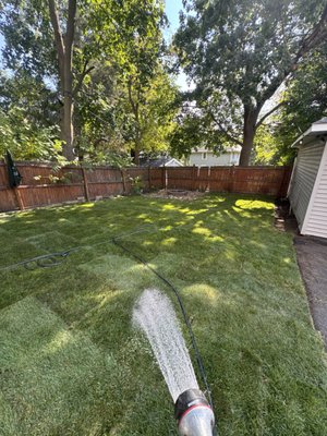 Professional Sod Installation & Lawn Renovation - This portfolio showcases several sod installation and lawn renovation projects completed throughout West Chicago and surrounding suburbs.
Our sod installation process focuses on long-term lawn health — not just laying new grass. Each project includes proper ground preparation, soil grading, removal of old turf or debris, and professional installation of fresh sod to ensure strong root establishment and even growth.
These lawn transformations replaced patchy, thin, or damaged grass with healthy, uniform turf designed to improve curb appeal and increase overall property value.
Whether it’s a full lawn replacement, new construction sod install, or targeted lawn renovation, our team ensures clean edges, proper leveling, and detailed finishing work.
Serving West Chicago, Bartlett, Wheaton, Geneva, Carol Stream, and nearby communities.
Request a quote to schedule your sod installation before peak season availability fills up. Professional Sod Installation & Lawn Renovation - This portfolio showcases several sod installation and lawn renovation projects completed throughout West Chicago and surrounding suburbs.
Our sod installation process focuses on long-term lawn health — not just laying new grass. Each project includes proper ground preparation, soil grading, removal of old turf or debris, and professional installation of fresh sod to ensure strong root establishment and even growth.
These lawn transformations replaced patchy, thin, or damaged grass with healthy, uniform turf designed to improve curb appeal and increase overall property value.
Whether it’s a full lawn replacement, new construction sod install, or targeted lawn renovation, our team ensures clean edges, proper leveling, and detailed finishing work.
Serving West Chicago, Bartlett, Wheaton, Geneva, Carol Stream, and nearby communities.
Request a quote to schedule your sod installation before peak season availability fills up.