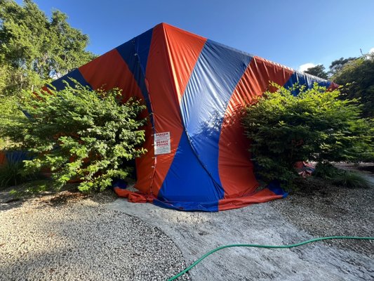 REDLANDS, FL FUMIGATION
Bye Bye Termites Pest Control
305-244-5688 ANDY
305-525-8361 LAZARO
www.byebyetermitespestcontrol.com
Tent Fume - REDLANDS, FL FUMIGATION
Bye Bye Termites Pest Control
305-244-5688 ANDY
305-525-8361 LAZARO
www.byebyetermitespestcontrol.com
Tent Fume REDLANDS, FL FUMIGATION
Bye Bye Termites Pest Control
305-244-5688 ANDY
305-525-8361 LAZARO
www.byebyetermitespestcontrol.com
Tent Fume - REDLANDS, FL FUMIGATION
Bye Bye Termites Pest Control
305-244-5688 ANDY
305-525-8361 LAZARO
www.byebyetermitespestcontrol.com
Tent Fume