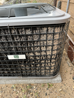 Air Conditioner Coil and Compressor Cleaning - At Window Wranglers, we pride ourselves on being your one-stop solution for all your cleaning needs. In addition to our renowned window cleaning, gutter cleaning, pressure washing, and solar panel cleaning services, we are excited to introduce our new offering: air conditioner coil and compressor cleaning. We understand the importance of maintaining a clean and efficient air conditioning system, especially in the hot climate of Prescott, Arizona and its surrounding areas, including Prescott Valley, Chino Valley, Williamson Valley, Dewey-Humboldt, Mayer, Ponderosa Park, and more.

Why Choose Window Wranglers for Air Conditioner Coil and Compressor Cleaning?

    Expertise and Experience: With years of experience in the cleaning industry, our team of highly trained professionals possesses the expertise to handle air conditioner coil and compressor cleaning with precision and care. We stay updated on the latest techniques and equipment to ensure your AC system receives the best possible cleaning service.

    Thorough Cleaning Process: When you choose Window Wranglers for air conditioner coil and compressor cleaning, you can expect a thorough and comprehensive service. Depending on the level of dirtiness, our cleaning process typically takes between 60 to 90 minutes. We begin by carefully disassembling the unit, then proceed with vacuuming, washing, and finally reassembling the components. Our meticulous approach guarantees a deep and effective cleaning, promoting optimal performance and energy efficiency.

    Enhanced Energy Efficiency: Over time, dust, debris, and grime accumulate on the coils and compressor of your air conditioning system, hindering its efficiency. By entrusting Window Wranglers with the task of cleaning these vital components, you can enjoy improved energy efficiency and lower utility bills. Our cleaning process removes the buildup, allowing your AC unit to function at its best.

    Extended Lifespan of Your AC System: Regular air conditioner coil and compressor cleaning can significantly extend the lifespan of your AC system. By eliminating dirt and debris that can lead to premature wear and tear, our cleaning service helps ensure your investment lasts longer. You can rely on Window Wranglers to help you avoid costly repairs or premature replacement of your air conditioning system.

    Convenience and Satisfaction Guaranteed: At Window Wranglers, we prioritize your convenience and satisfaction. Our team will work around your schedule to find a suitable appointment time for your air conditioner coil and compressor cleaning service. We take pride in delivering exceptional customer service and guarantee your satisfaction with our work.

Contact Window Wranglers Today!

Don't let a dirty air conditioner coil and compressor compromise the efficiency and performance of your cooling system. Trust the professionals at Window Wranglers to provide top-notch cleaning services in Prescott, Arizona, and surrounding areas. Whether you need window cleaning, gutter cleaning, pressure washing, solar panel cleaning, or air conditioner coil and compressor cleaning, we've got you covered.

Visit our website at www.windowwranglers.com or give us a call at [phone number] to schedule your air conditioner coil and compressor cleaning service. Let Window Wranglers bring a breath of fresh air to your home or business!