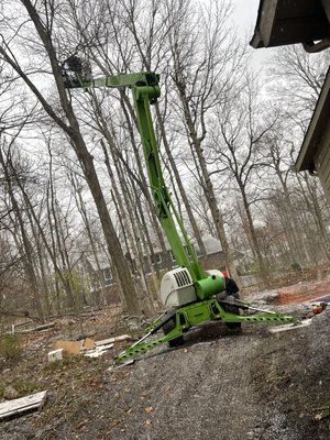Tree Removal using NiftyLift - Removal of Trees in backyard Tree Removal using NiftyLift - Removal of Trees in backyard
