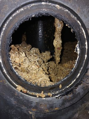 Water Heater Maintenance Flush - Keep your hot water running efficiently and extend the life of your water heater with our professional maintenance flush — now available for just $150.
Over time, sediment builds up inside your water heater tank, reducing efficiency, increasing energy costs, and causing premature wear. Our thorough flush service helps remove buildup, improve performance, and protect your investment.
✅ Improves efficiency
✅ Helps prevent costly breakdowns
✅ Extends equipment lifespan
✅ Promotes consistent hot water
This special is available for standard residential tank-style water heaters only.
**Excludes commercial properties and tankless water heaters.**
Spots are limited — schedule your service today and keep your system running at NXT Level performance! Water Heater Maintenance Flush - Keep your hot water running efficiently and extend the life of your water heater with our professional maintenance flush — now available for just $150.
Over time, sediment builds up inside your water heater tank, reducing efficiency, increasing energy costs, and causing premature wear. Our thorough flush service helps remove buildup, improve performance, and protect your investment.
✅ Improves efficiency
✅ Helps prevent costly breakdowns
✅ Extends equipment lifespan
✅ Promotes consistent hot water
This special is available for standard residential tank-style water heaters only.
**Excludes commercial properties and tankless water heaters.**
Spots are limited — schedule your service today and keep your system running at NXT Level performance!