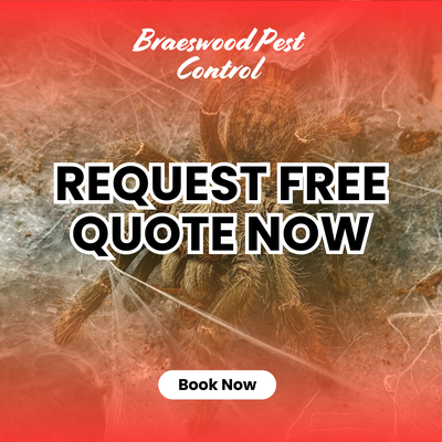 Cockroach Extermination | May 2022 - Cockroach Extermination experts | Houston, TX Cockroach Extermination | May 2022 - Cockroach Extermination experts | Houston, TX