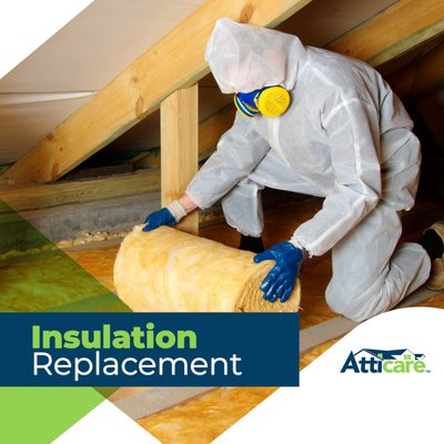 Insulation Replacement - We took the necessary steps to enhance the insulation in this home. Firstly, we carefully vacuumed out the old blown-in insulation, ensuring a clean and debris-free environment.

Next, we sealed and sanitized the attic area, creating a fresh and hygienic space. To further improve energy efficiency, we performed thorough air sealing, eliminating any potential leaks or drafts.

Finally, we installed high-quality, energy-efficient batts insulation, providing superior insulation and helping to reduce heating and cooling costs. With this comprehensive insulation replacement, homeowners can now enjoy a more comfortable and energy-efficient home.

Contaminated blown-in insulation was removed in one day and replaced by brand-new energy-efficient batts insulation. The home is now clean, safe from rodent activity and contaminants, and energy efficient.