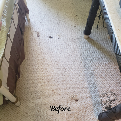 Stain Removal - We offer a professional carpet cleaning and stain removal service to homes and businesses. Our experts will clean, deodorize, and protect your carpets while getting rid of tough stains. Stain Removal - We offer a professional carpet cleaning and stain removal service to homes and businesses. Our experts will clean, deodorize, and protect your carpets while getting rid of tough stains.