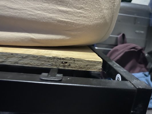Sneaky bed bugs! - Bed bugs found between the layers of the plywood used underneath the bed.