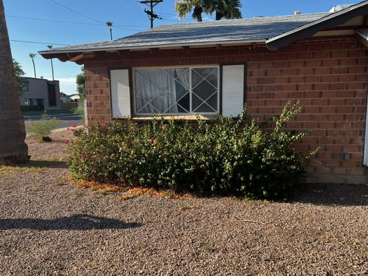 Get your weeds removed - This project was one of our first costumers. He chose the basic package with weed removal.