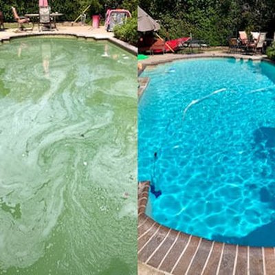 Green Pool Treatment - A green pool isn't just unpleasant to look at, it can cause real problems. The green gunk (algae) can damage pool equipment, or greatly reduce its efficiency. Call Swimcare Pool Service today for a free consultation - we can get your pool crystal clear and healthy before you know it! Green Pool Treatment - A green pool isn't just unpleasant to look at, it can cause real problems. The green gunk (algae) can damage pool equipment, or greatly reduce its efficiency. Call Swimcare Pool Service today for a free consultation - we can get your pool crystal clear and healthy before you know it!