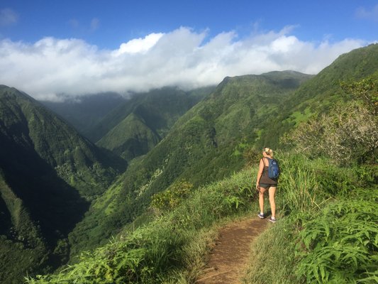 The Ridge Hike - This 5 mile round-trip hike in rain forest of the West Maui Mauintains promises lush scenery, great valley views and some dramatic ridgeline hiking. The trail ascends 1,500 feet through a lush forest of kukui, guava, ohi'a, and ferns. It goes in cycles of flat and steep areas culminating in a series of switchbacks that lead to the end, a hill called Lani-ili at 2,563 feet. There is a picnic table at the trail's end where we can enjoy a snack or have lunch. Although this trail is not technically difficult, it does require strong legs and good stamina. The tour starts at 9 or 10 am and we usually get done around 2 or 3 pm. The price is $700 for the first two people and add an additional $100 for each person after that. The Ridge Hike - This 5 mile round-trip hike in rain forest of the West Maui Mauintains promises lush scenery, great valley views and some dramatic ridgeline hiking. The trail ascends 1,500 feet through a lush forest of kukui, guava, ohi'a, and ferns. It goes in cycles of flat and steep areas culminating in a series of switchbacks that lead to the end, a hill called Lani-ili at 2,563 feet. There is a picnic table at the trail's end where we can enjoy a snack or have lunch. Although this trail is not technically difficult, it does require strong legs and good stamina. The tour starts at 9 or 10 am and we usually get done around 2 or 3 pm. The price is $700 for the first two people and add an additional $100 for each person after that.