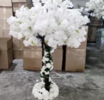 Prom Event - Host your child’s prom event with us! Prom Event - Host your child’s prom event with us!