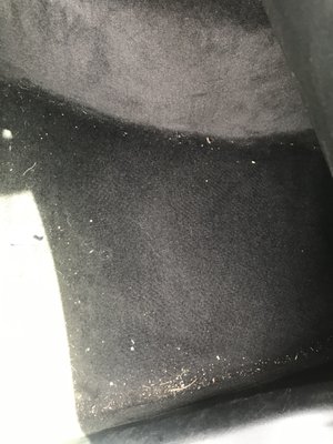 Wash and vacuum (inside & out) - This was an inside & out. Carpet vacuumed, inside wiped down, outside washed Wash and vacuum (inside & out) - This was an inside & out. Carpet vacuumed, inside wiped down, outside washed