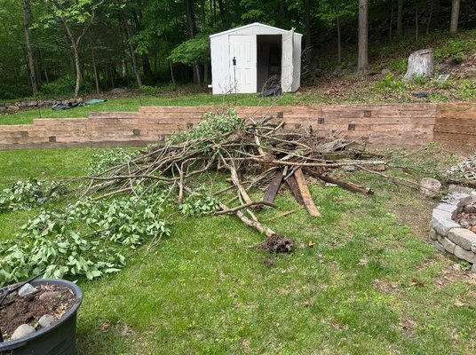 Tree limb removal - This tree limb removal was done with in a hour!! We left the customer satisfied and willing to give future projects. Tree limb removal - This tree limb removal was done with in a hour!! We left the customer satisfied and willing to give future projects.