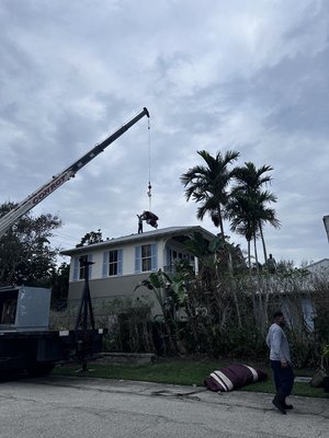 Fumigation/tenting for Dry-wood Termites - Crane, taking a tarp onto the roof of the house. The fumigation crew getting ready to drop the tarp over the home. And then they will start the process of eliminating termites. Fumigation/tenting for Dry-wood Termites - Crane, taking a tarp onto the roof of the house. The fumigation crew getting ready to drop the tarp over the home. And then they will start the process of eliminating termites.