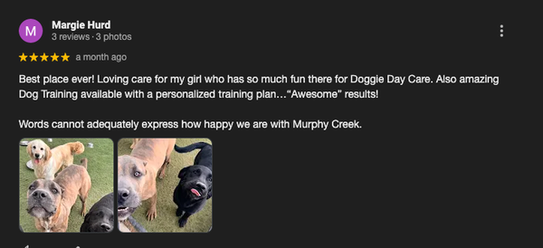 Check Out Our Google Reviews! - Check out our what people are saying on Google! Check Out Our Google Reviews! - Check out our what people are saying on Google!