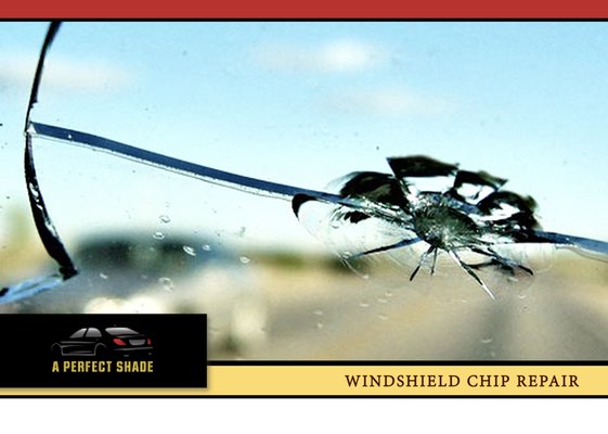 Windshield Chip Repair - Windshield Chip Repair: Experience the Convenience
Everyone’s busy these days—we know that, and we want to make your life just a little bit easier. If you’ve got a windshield chip that needs to be repaired, stop by our shop. We can take care of it for you very quickly, saving you time and money down the road.
Our goal is to repair your windshield chip so that it doesn’t cause cracking that spreads throughout your entire windshield. We complete each and every repair carefully, making sure not to cause any additional damage to your windshield.
We’ll also be happy to call your insurance company for you to see if the cost of repair is covered by your policy.
We’re here to make your life a little easier,
so stop by today, call us, or complete our Free Quote Form! Windshield Chip Repair - Windshield Chip Repair: Experience the Convenience
Everyone’s busy these days—we know that, and we want to make your life just a little bit easier. If you’ve got a windshield chip that needs to be repaired, stop by our shop. We can take care of it for you very quickly, saving you time and money down the road.
Our goal is to repair your windshield chip so that it doesn’t cause cracking that spreads throughout your entire windshield. We complete each and every repair carefully, making sure not to cause any additional damage to your windshield.
We’ll also be happy to call your insurance company for you to see if the cost of repair is covered by your policy.
We’re here to make your life a little easier,
so stop by today, call us, or complete our Free Quote Form!