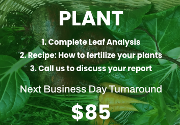 $85 Plant Testing - $85/ Next Day Turnaround Time
- Complete Leaf Analysis
- Recipe: How to fertilize your plants
- Call us to discuss your report